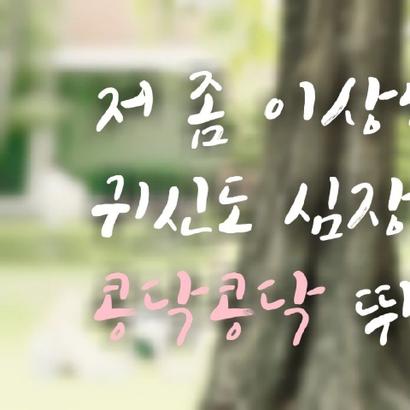 Kim Sohyun profile image